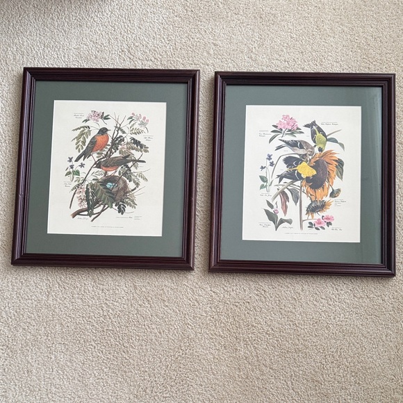 Arthur Singer Vintage Framed Botanical Bird Prints
